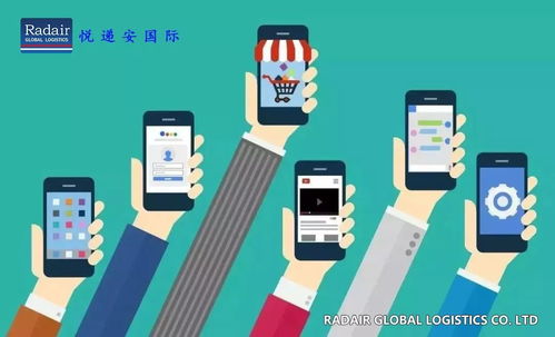 2019年中東跨境電商市場服務數據分析與數據處理服務洞察
